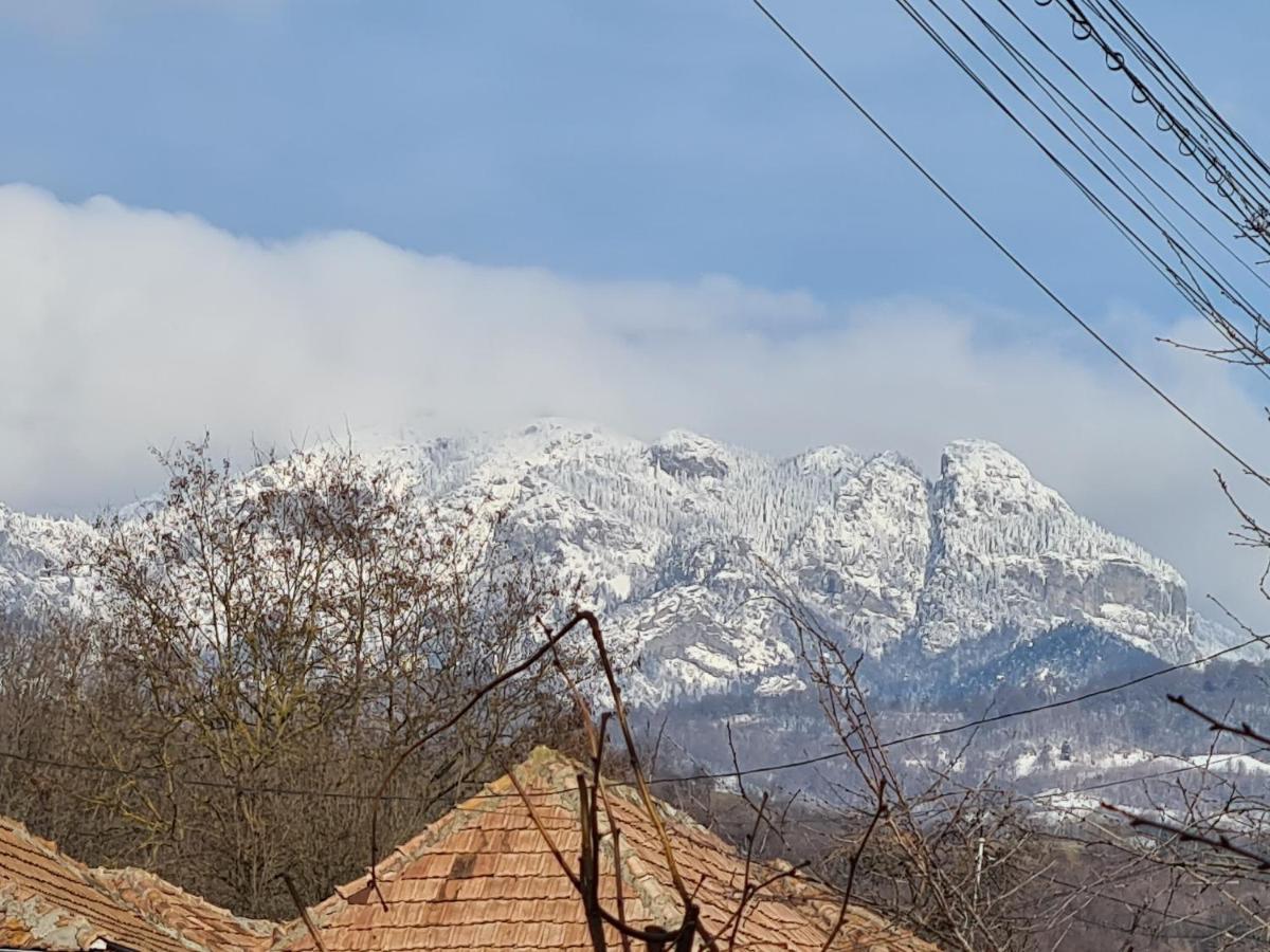 Casa Hera Călimăneşti Eksteriør billede