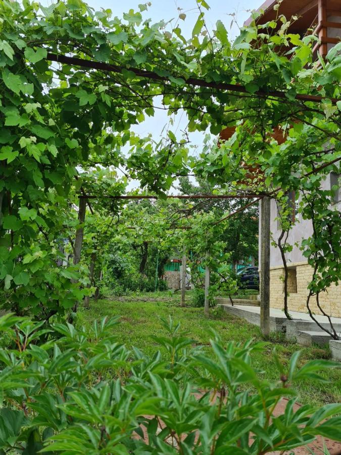 Casa Hera Călimăneşti Eksteriør billede