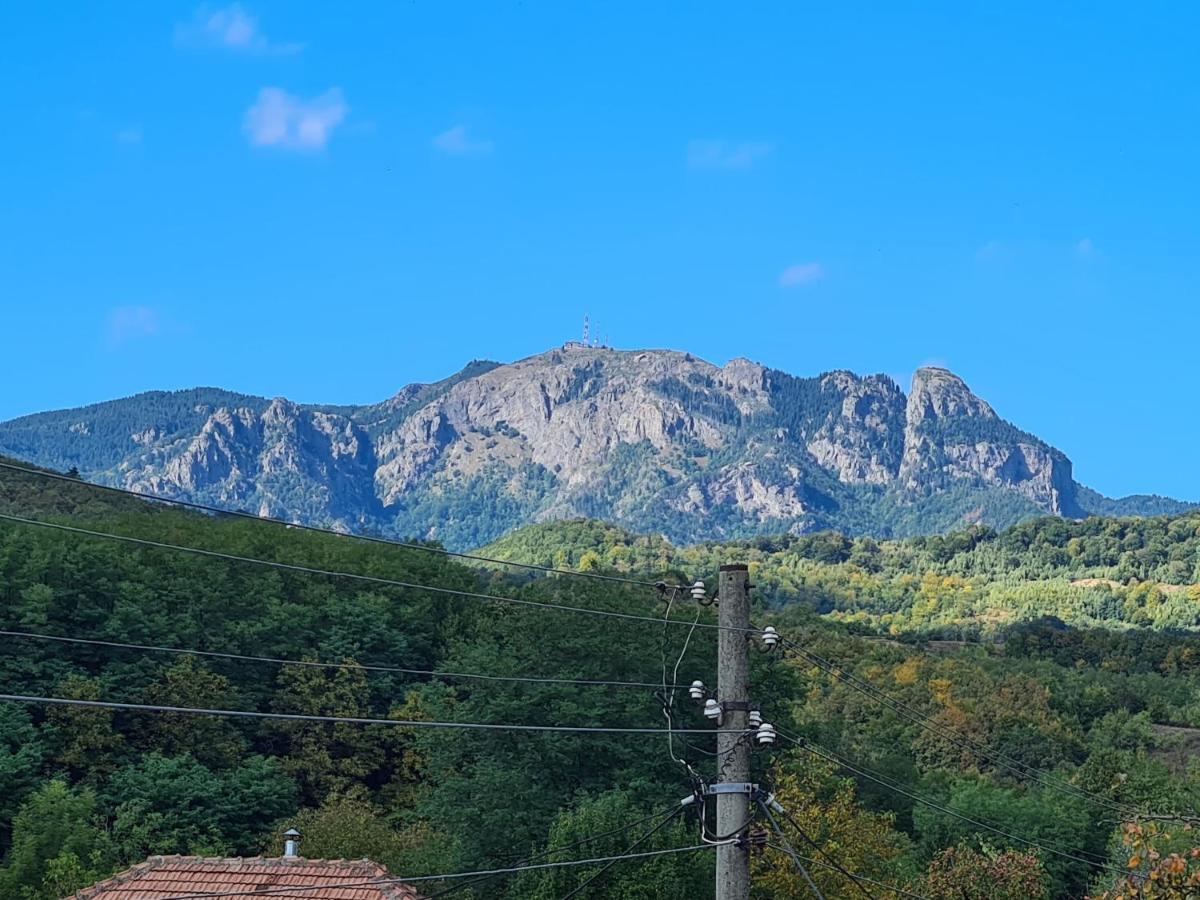 Casa Hera Călimăneşti Eksteriør billede