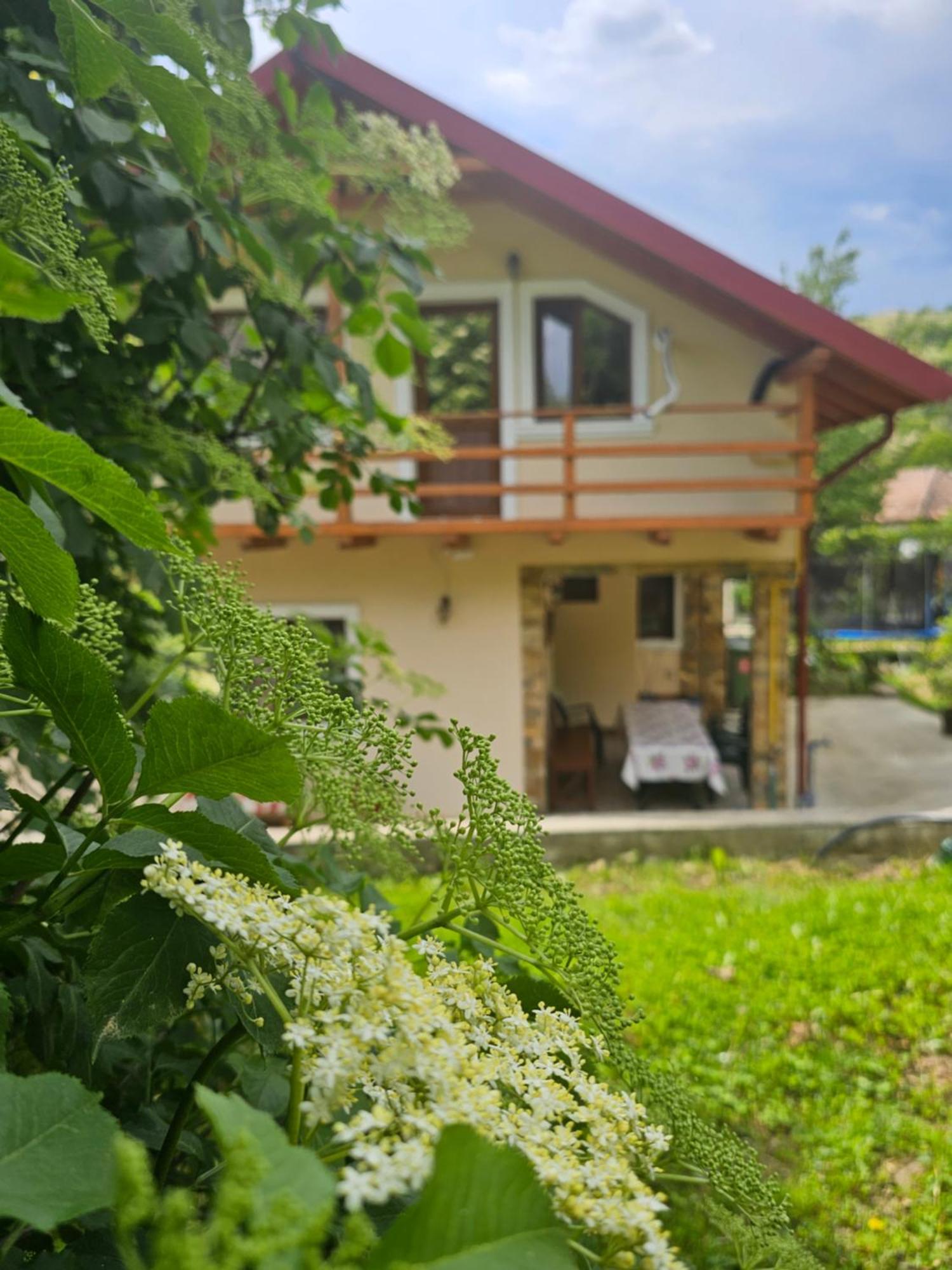 Casa Hera Călimăneşti Eksteriør billede