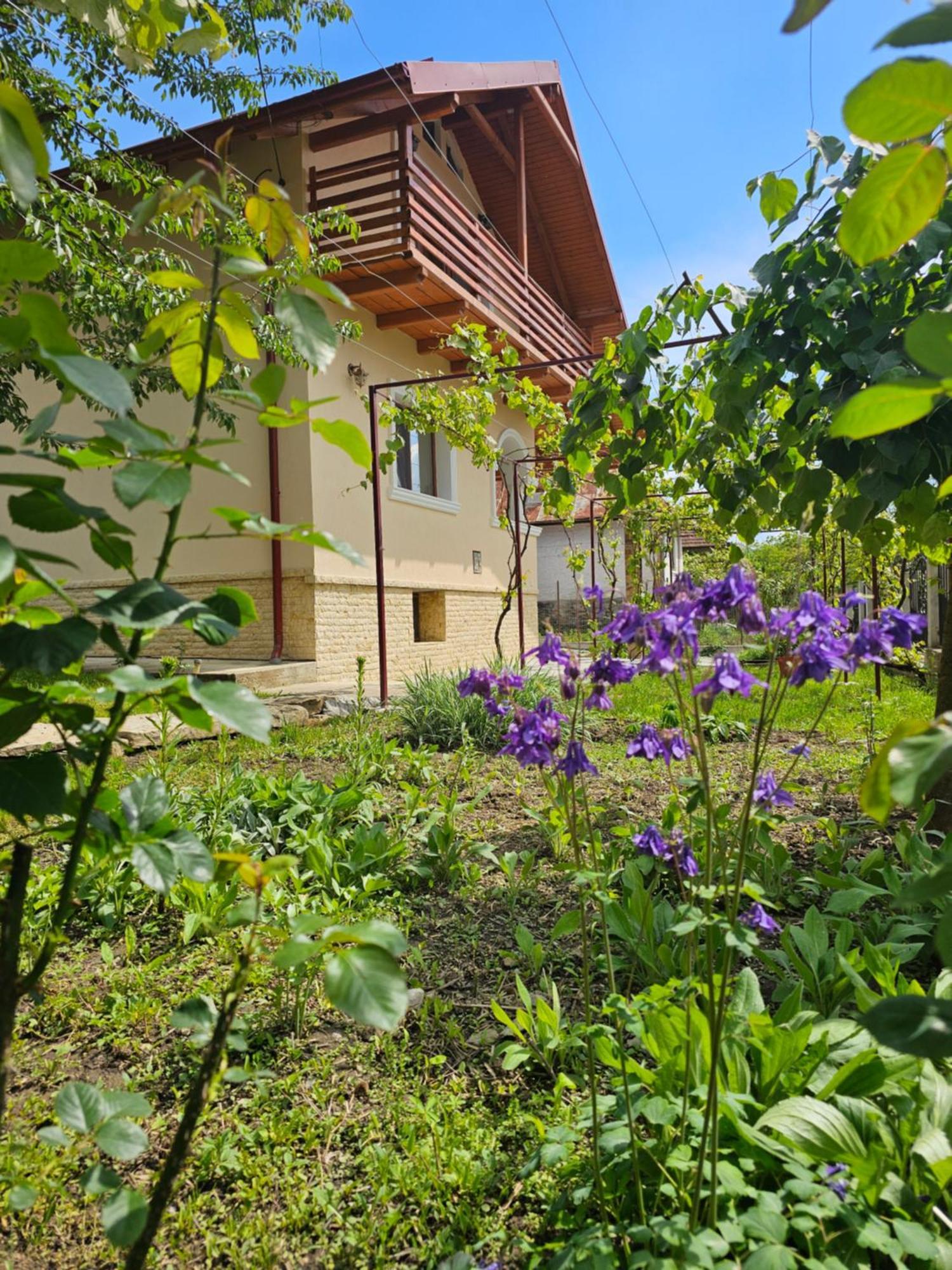 Casa Hera Călimăneşti Eksteriør billede